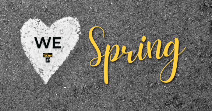 Blog - Spring